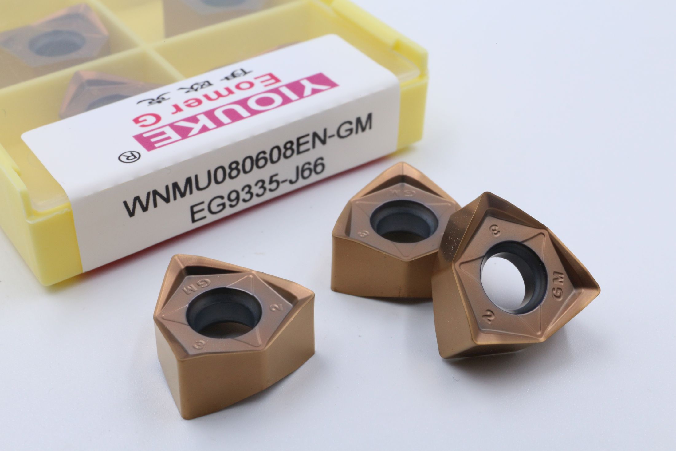 WNMU080608EN-GM EG9335-J66